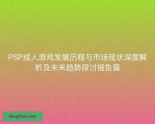 PSP成人游戏发展历程与市场现状深度解析及未来趋势探讨报告篇